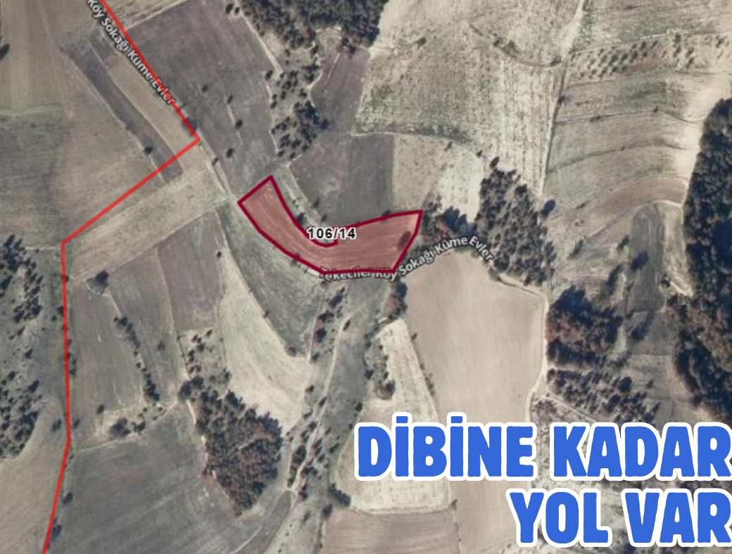 BİLECİK YENİPAZAR ESENKÖY 3.908 M² TARLA SATILIKTIR - BİLECİK YENİPAZAR fotoğraf 3